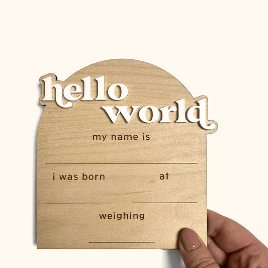 Hello World Birth Announcement Sign with Birth Details